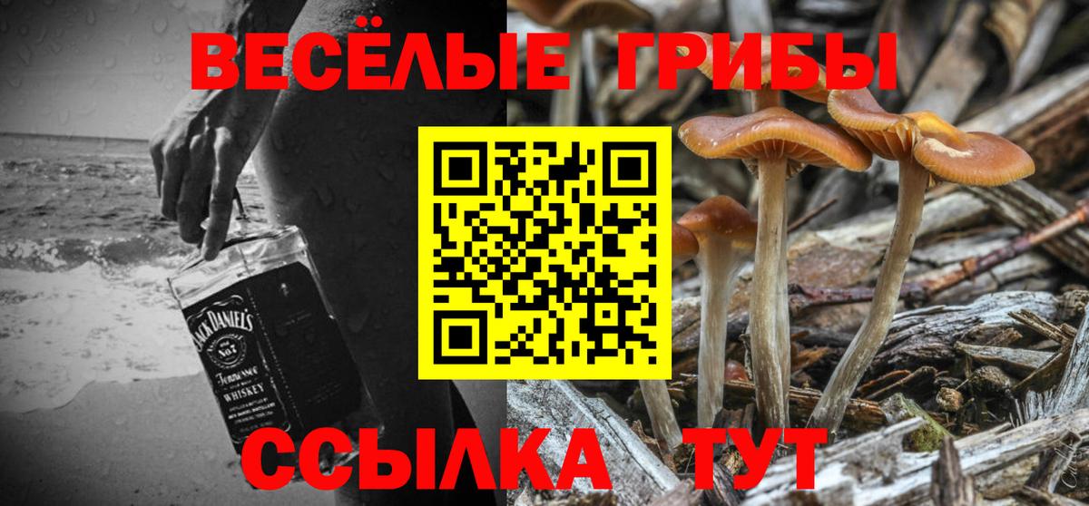 Галлюциногенные грибы Psilocybe Лангепас