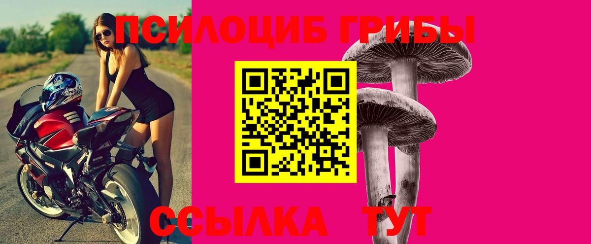 Лангепас  Галлюциногенные грибы Psilocybine cubensis  Вход с VPN  Галлюциногенные грибы MAGIC MUSHROOMS 